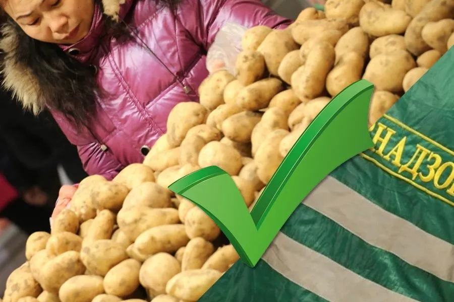 Импорт картофеля из Китая в Россию: рекордное падение и причины