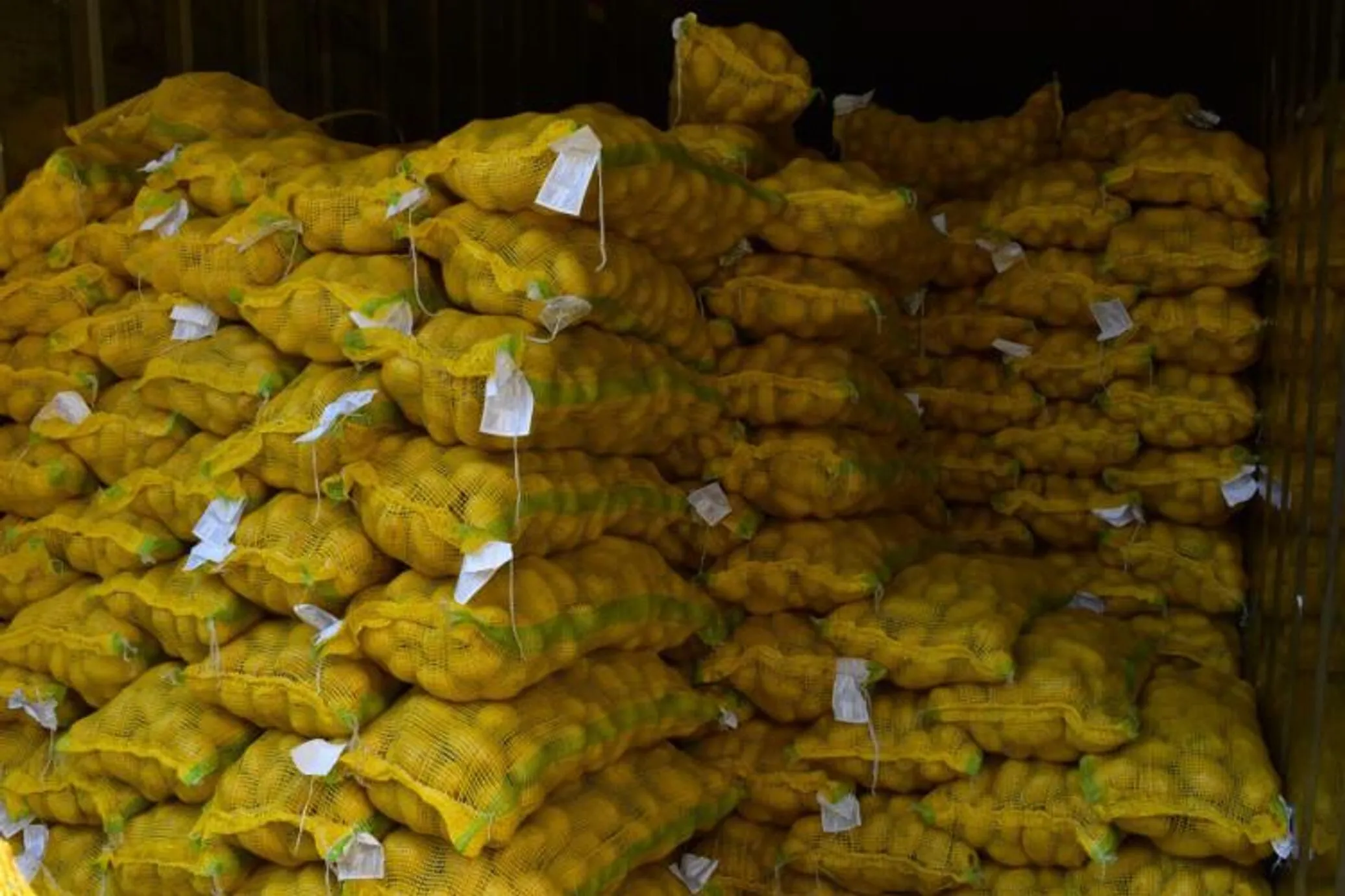 Статистика импорта картофеля из Китая