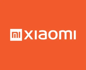 Xiaomi и Nio: китайские символы инноваций