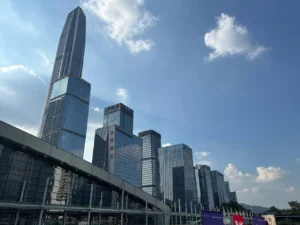 Формы присутствия российских компаний